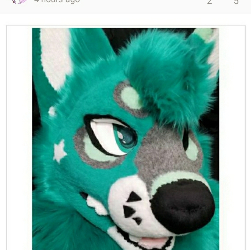 Dog fursuit cat